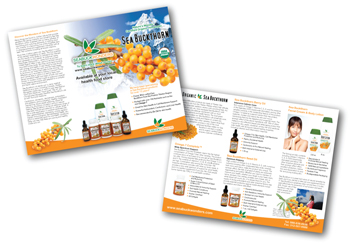 brochure Design