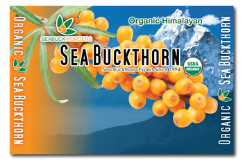 Tea Flyer Design