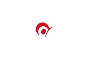 alscripts logo design versions
