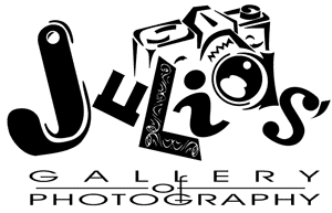 Julia's logo